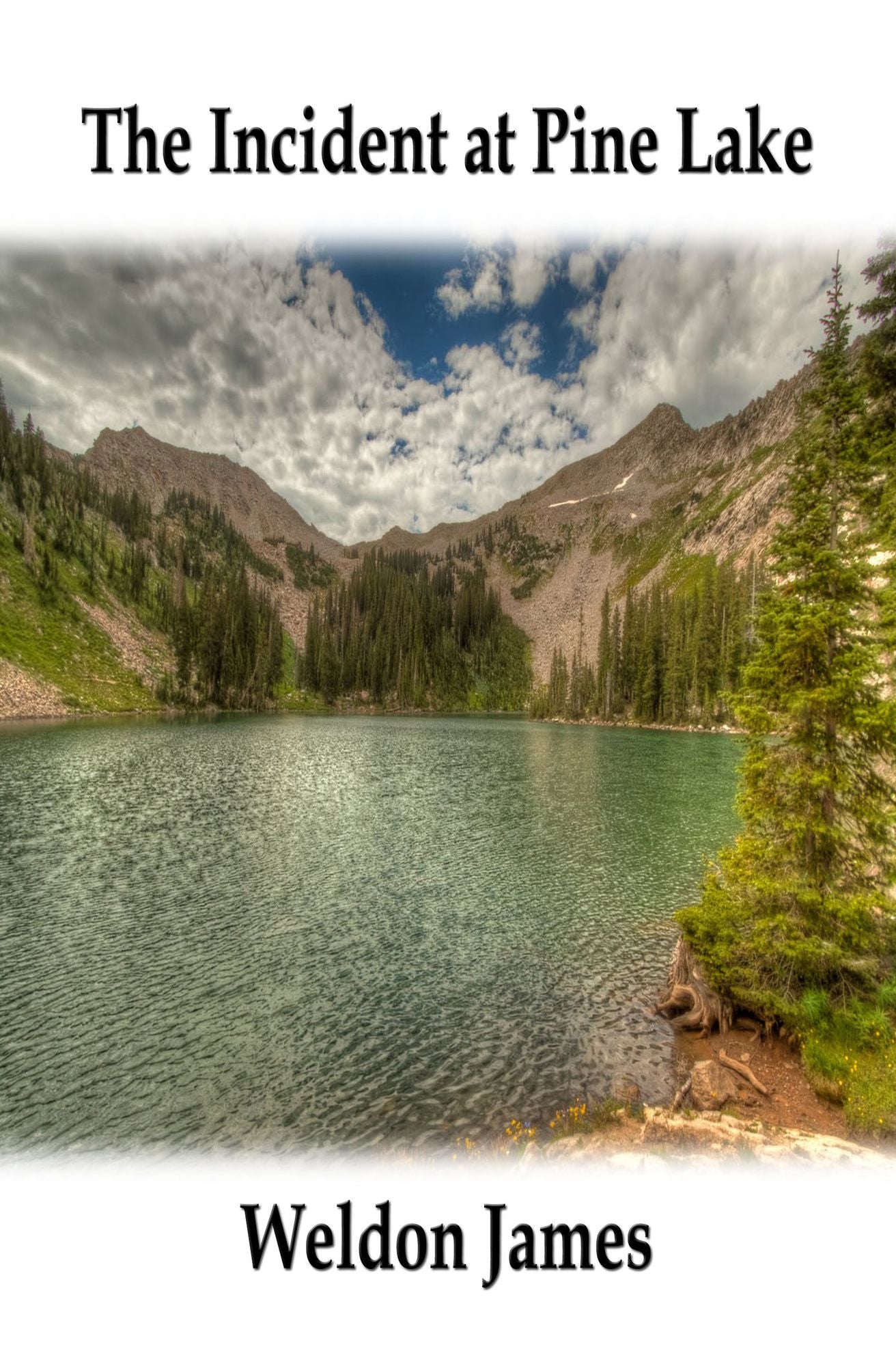 The Incident at Pine Lake