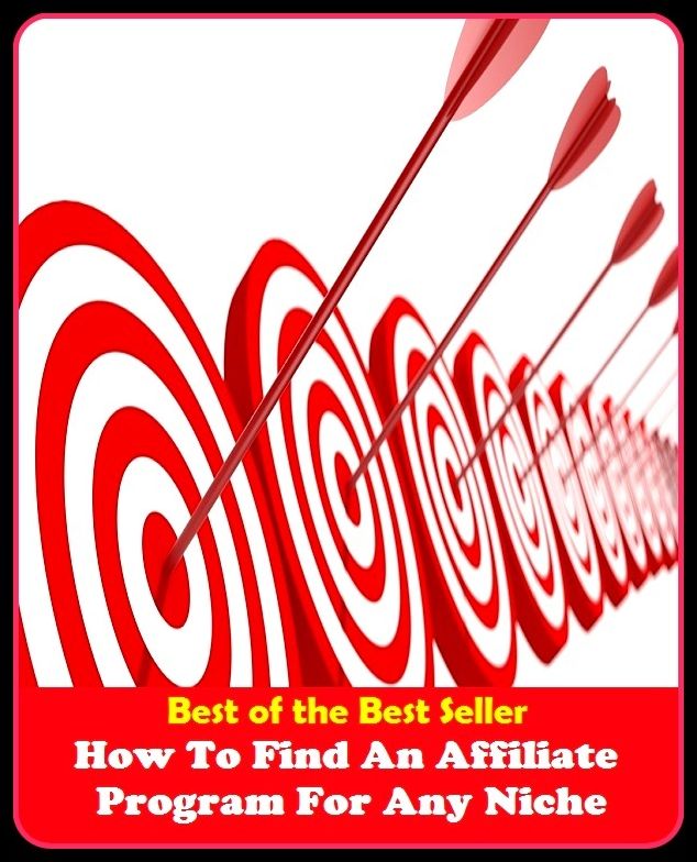 Best of the best seller How To Find An Affiliate Program For Any Niche(cyberspace,WWW,ARPANET,hyperspace,infobahn,information highway,information superhighway,National Information Infrastructure,online network)