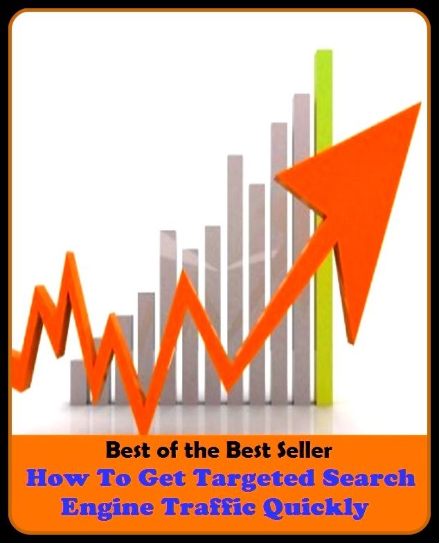 Best of the best seller How To Get Targeted Search Engine Traffic Quickly(cyberspace,WWW,ARPANET,hyperspace,infobahn,information highway,information superhighway,National Information Infrastructure,online network)