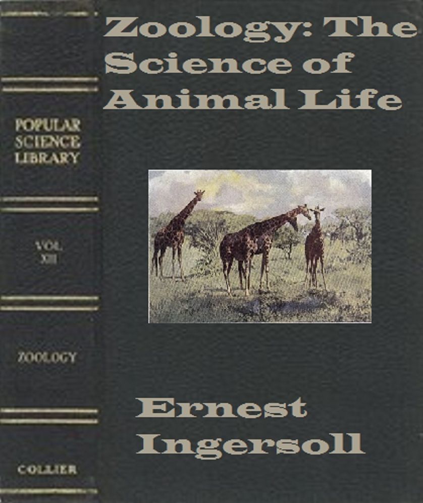 Zoology: The Science of Animal Life (Illustrated)