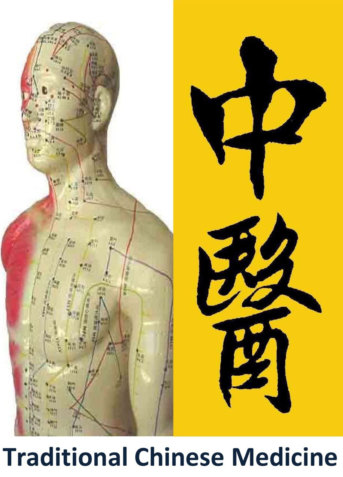 Traditional Chinese Medicine