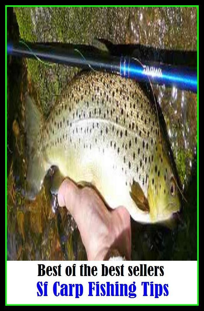 Best of the Best Sellers Sf Carp Fishing Tips ( angling, trawling, trolling, seining, ice fishing, catching fish, sportfishing, go fishing, angle, cast, trawl, troll, seine )