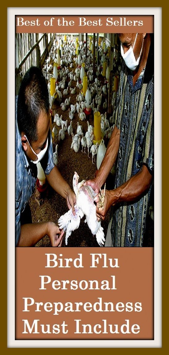 Best of the best sellers Bird Flu Personal Preparedness Must Include Th ( exercise, meditation, acupuncture, disease, digestive system, formula, medicine, remedy, fix, treatment, action, conduct, behavior, handling, gastrin, fitness, vitamins, healing )
