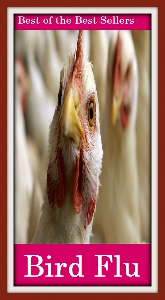 Best of the best sellers Bird Flu ( exercise, meditation, acupuncture, disease, digestive system, formula, medicine, remedy, fix, treatment, action, conduct, behavior, handling, gastrin, fitness, vitamins, healing, diet, cut down, starve yourself, fast )