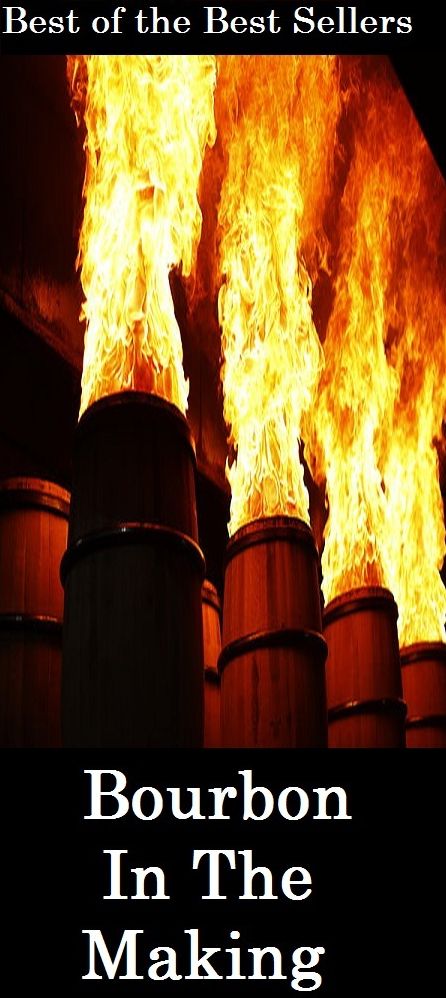 Best of the best sellers Bourbon In The Making ( scotch, whiskey, alcohol, bourbon, corn, distill, distiller, distillery, drink, hooch, liquor, moonshine, moonshiner, poteen, rotgut, rye, spirits )
