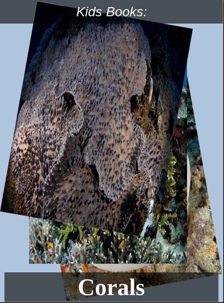 Kids Books: #18 ( Wildlife, Nature, Sea Life, Wild Birds, Corals, Tigers, Lions, Bears, Elephants, Fish, Sharks, Marine Life, Endangered, Conservation, Ecology, Substainable Living, Tree, Flower )