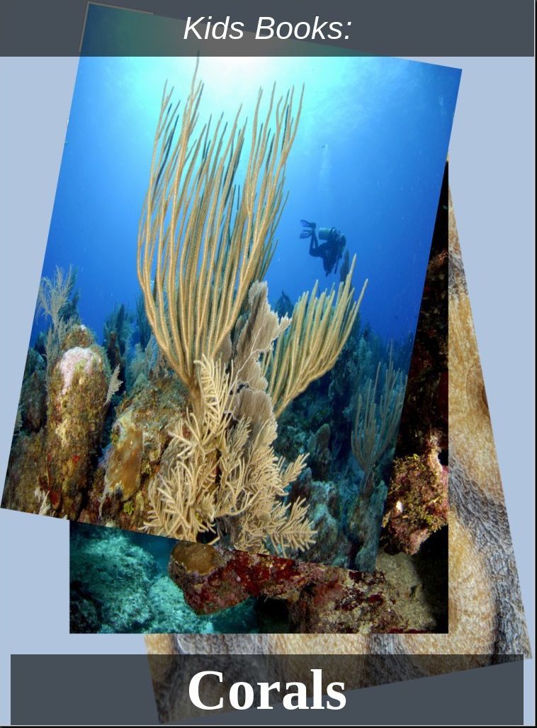 Kids Books: #24 ( Wildlife, Nature, Sea Life, Wild Birds, Corals, Tigers, Lions, Bears, Elephants, Fish, Sharks, Marine Life, Endangered, Conservation, Ecology, Substainable Living, Tree, Flower )