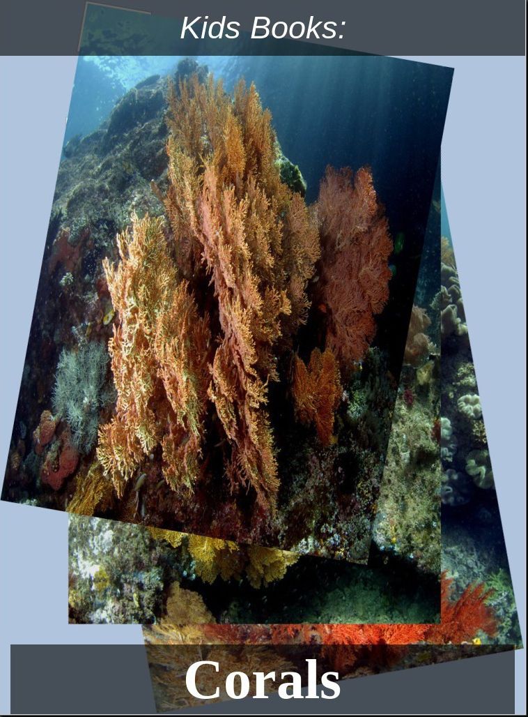 Kids Books: #23 ( Wildlife, Nature, Sea Life, Wild Birds, Corals, Tigers, Lions, Bears, Elephants, Fish, Sharks, Marine Life, Endangered, Conservation, Ecology, Substainable Living, Tree, Flower )