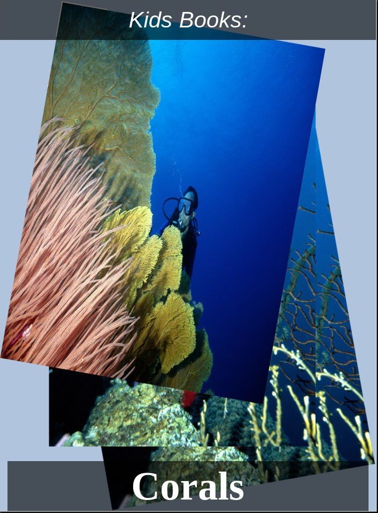 Kids Books: #25 ( Wildlife, Nature, Sea Life, Wild Birds, Corals, Tigers, Lions, Bears, Elephants, Fish, Sharks, Marine Life, Endangered, Conservation, Ecology, Substainable Living, Tree, Flower )