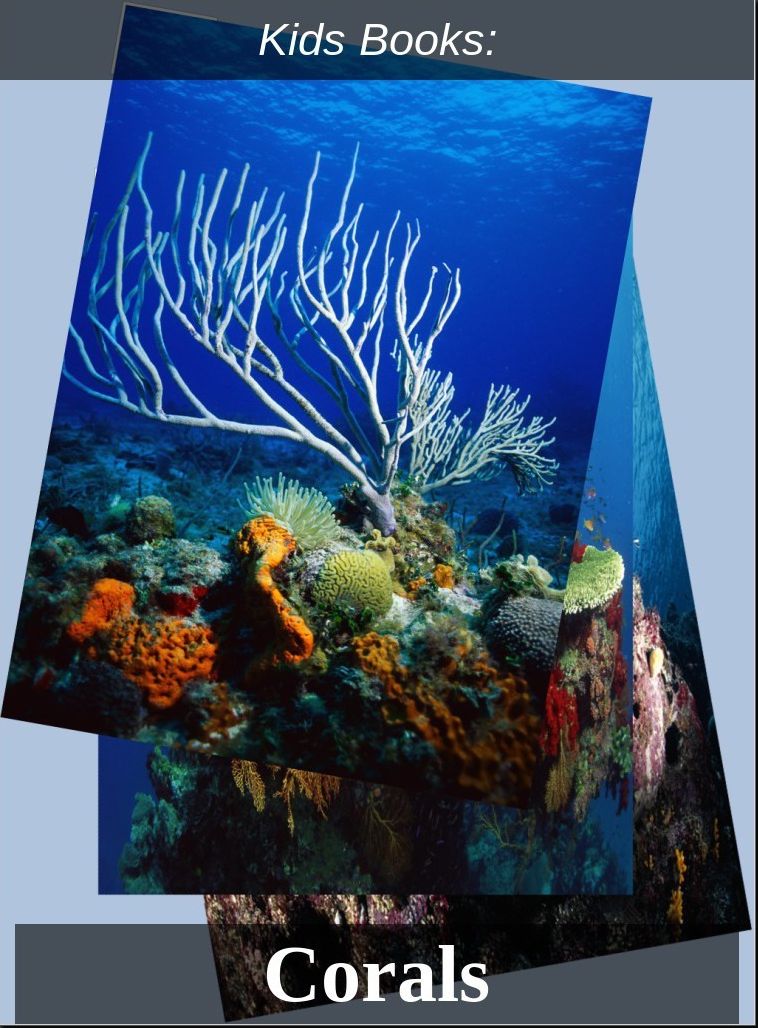 Kids Books: #27 ( Wildlife, Nature, Sea Life, Wild Birds, Corals, Tigers, Lions, Bears, Elephants, Fish, Sharks, Marine Life, Endangered, Conservation, Ecology, Substainable Living, Tree, Flower )