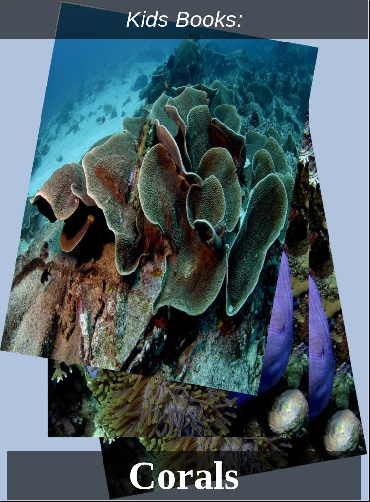 Kids Books: #22 ( Wildlife, Nature, Sea Life, Wild Birds, Corals, Tigers, Lions, Bears, Elephants, Fish, Sharks, Marine Life, Endangered, Conservation, Ecology, Substainable Living, Tree, Flower )