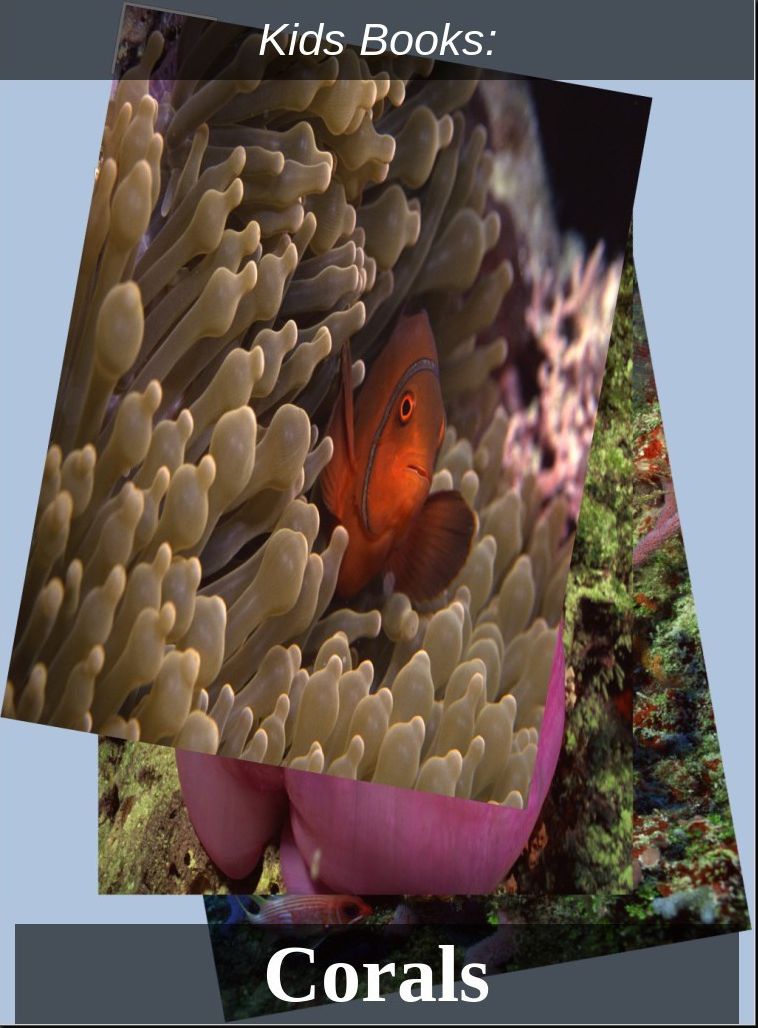 Kids Books: #28 ( Wildlife, Nature, Sea Life, Wild Birds, Corals, Tigers, Lions, Bears, Elephants, Fish, Sharks, Marine Life, Endangered, Conservation, Ecology, Substainable Living, Tree, Flower )