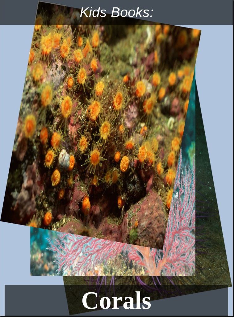 Kids Books: #30 ( Wildlife, Nature, Sea Life, Wild Birds, Corals, Tigers, Lions, Bears, Elephants, Fish, Sharks, Marine Life, Endangered, Conservation, Ecology, Substainable Living, Tree, Flower )
