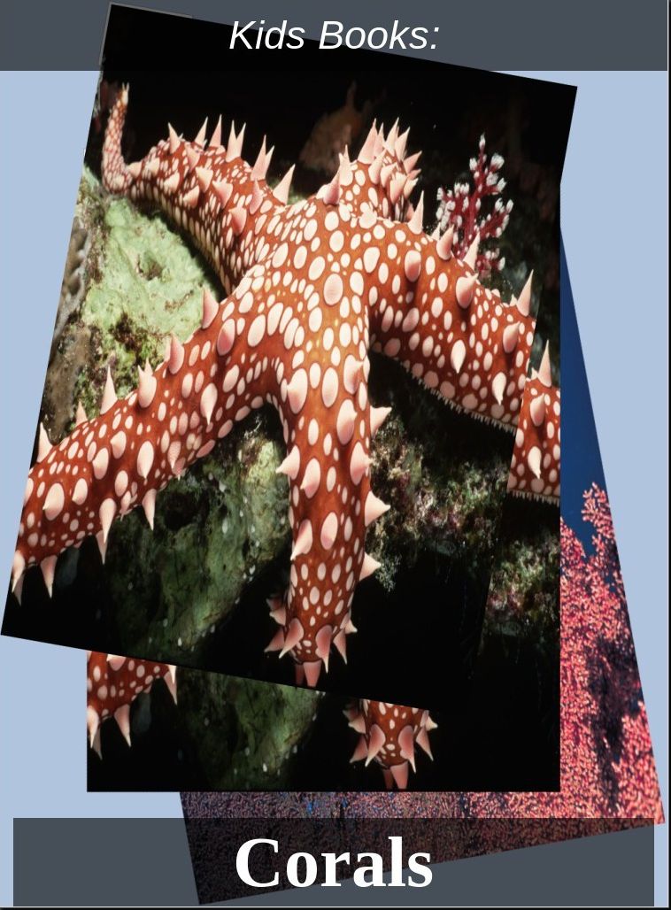 Kids Books: #35 ( Wildlife, Nature, Sea Life, Wild Birds, Corals, Tigers, Lions, Bears, Elephants, Fish, Sharks, Marine Life, Endangered, Conservation, Ecology, Substainable Living, Tree, Flower )