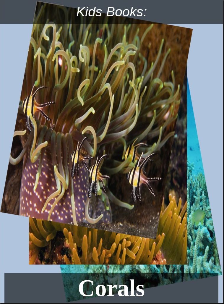 Kids Books: #29 ( Wildlife, Nature, Sea Life, Wild Birds, Corals, Tigers, Lions, Bears, Elephants, Fish, Sharks, Marine Life, Endangered, Conservation, Ecology, Substainable Living, Tree, Flower )