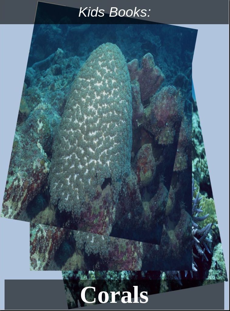 Kids Books: #31 ( Wildlife, Nature, Sea Life, Wild Birds, Corals, Tigers, Lions, Bears, Elephants, Fish, Sharks, Marine Life, Endangered, Conservation, Ecology, Substainable Living, Tree, Flower )