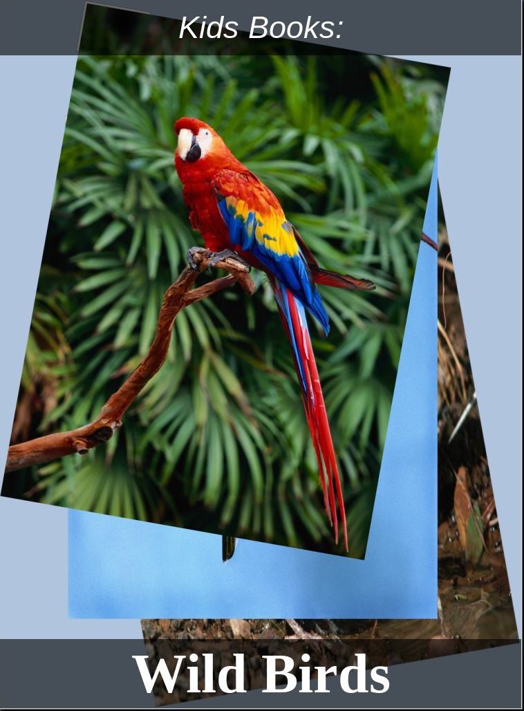 Children's Books: #154 ( Wildlife, Nature, Sea Life, Wild Birds, Corals, Tigers, Lions, Bears, Elephants, Fish, Sharks, Marine Life, Endangered, Conservation, Ecology, Substainable Living, Tree, Flower )
