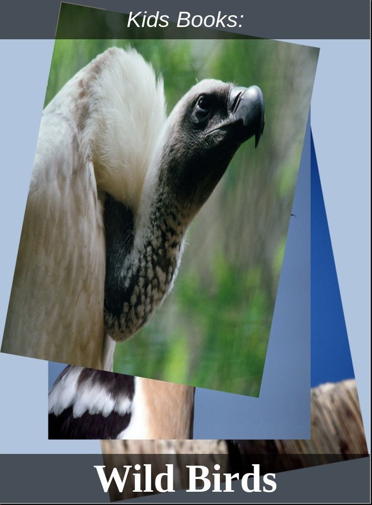 Children's Books: #156 ( Wildlife, Nature, Sea Life, Wild Birds, Corals, Tigers, Lions, Bears, Elephants, Fish, Sharks, Marine Life, Endangered, Conservation, Ecology, Substainable Living, Tree, Flower )