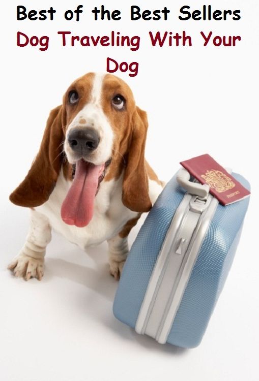 Best of the Best Sellers Dog Traveling With Your Dog ( travel, journey, outing, tour, trek, excursion, go, passage, departure, transit, passing )