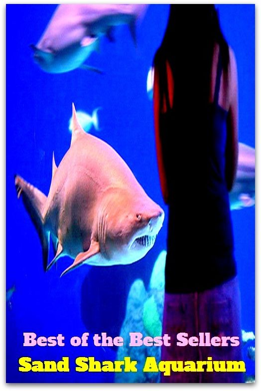 Best of the Best Sellers Sand Shark Aquarium ( safekeeping, supervision, custody, charge, protection, control, responsibility, guardianship, wardship, help )