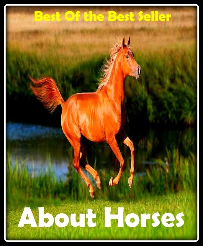 Best of the Best Sellers	About Horses(horse, hoss, cart horse, steed, gee, knight)