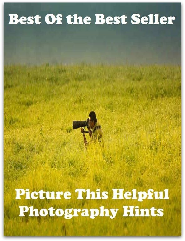 Best of the Best Sellers	Picture This Helpful Photography Hints ( picture, painting, depiction, illustration, representation, presentment )