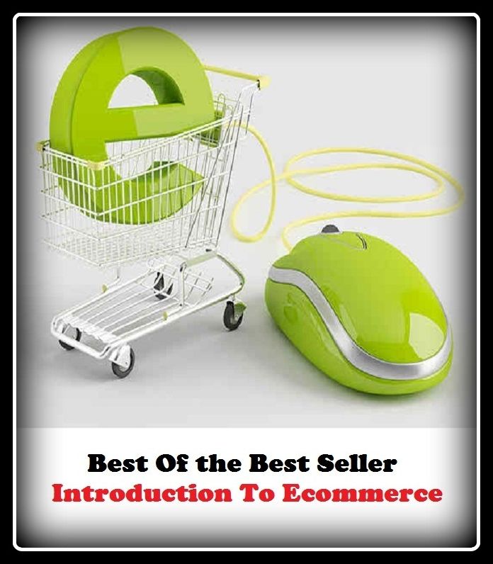 Best of the Best Sellers	Introduction To Ecommerce ( induction, Introduction, origination,E Commerce )