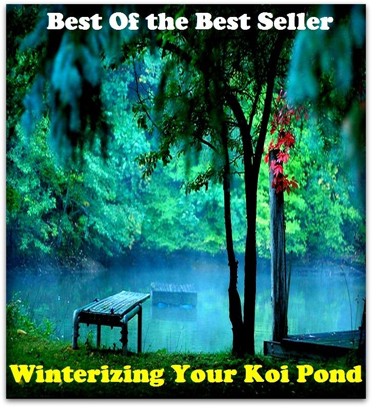 Best of the Best Sellers Winterizing Your Koi Pond (wintering, winterize, Winters, internalization, winterize, winter kill, winter killed, winter killing, winter less, winter like)