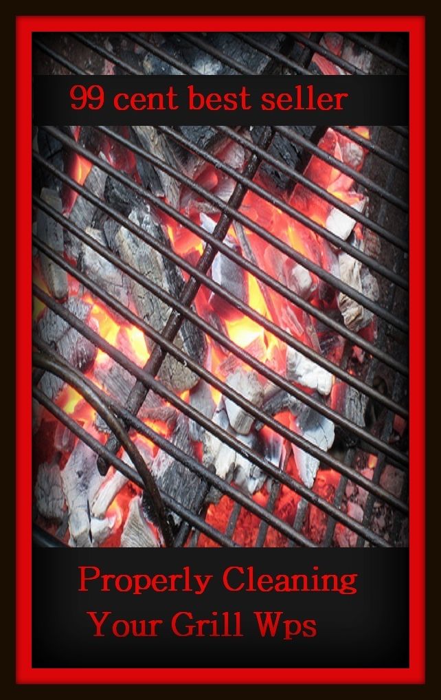 99 Cent Best Seller	Properly Cleaning Your Grill Wps, ( barbecue, roast, sear, burn, cook, rotisserie, charcoal-broil, cook over an open , pit, picnic)