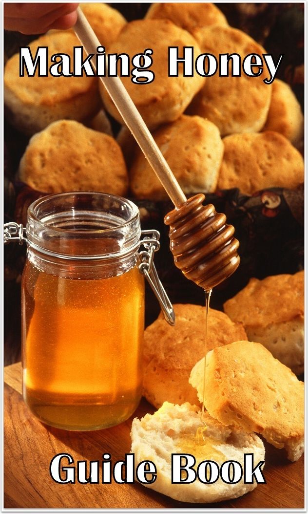 Food: Making Honey Guide Book ( superfood, superfoods, kale, collard greens, swiss chard, brussels sprouts, broccoli, salmon, mackerel, sardines, vegetables, beets, sweet potatoes, legumes, peanuts, lentils, beans, raw cocoa )