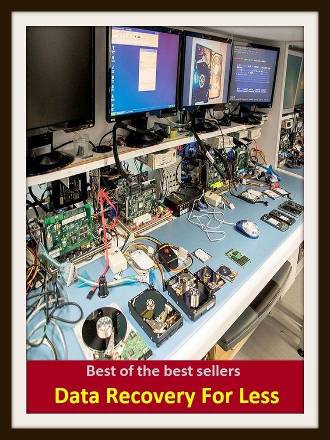 Best of the best sellers Data Recovery For Less (Dossier, evidence, goods, info, input, knowledge, picture, statistics, testimony, abstracts, circumstances, compilations, conclusions, details.)