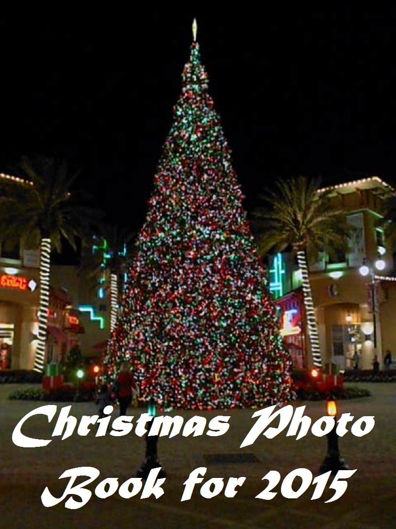 Christmas Book: Christmas ideas and Inspirations	559	(Christmas, Holiday, Religion, Christ, Christian, Santa, North Pole, Reindeer, Star, Ornaments, Christmas Tree)