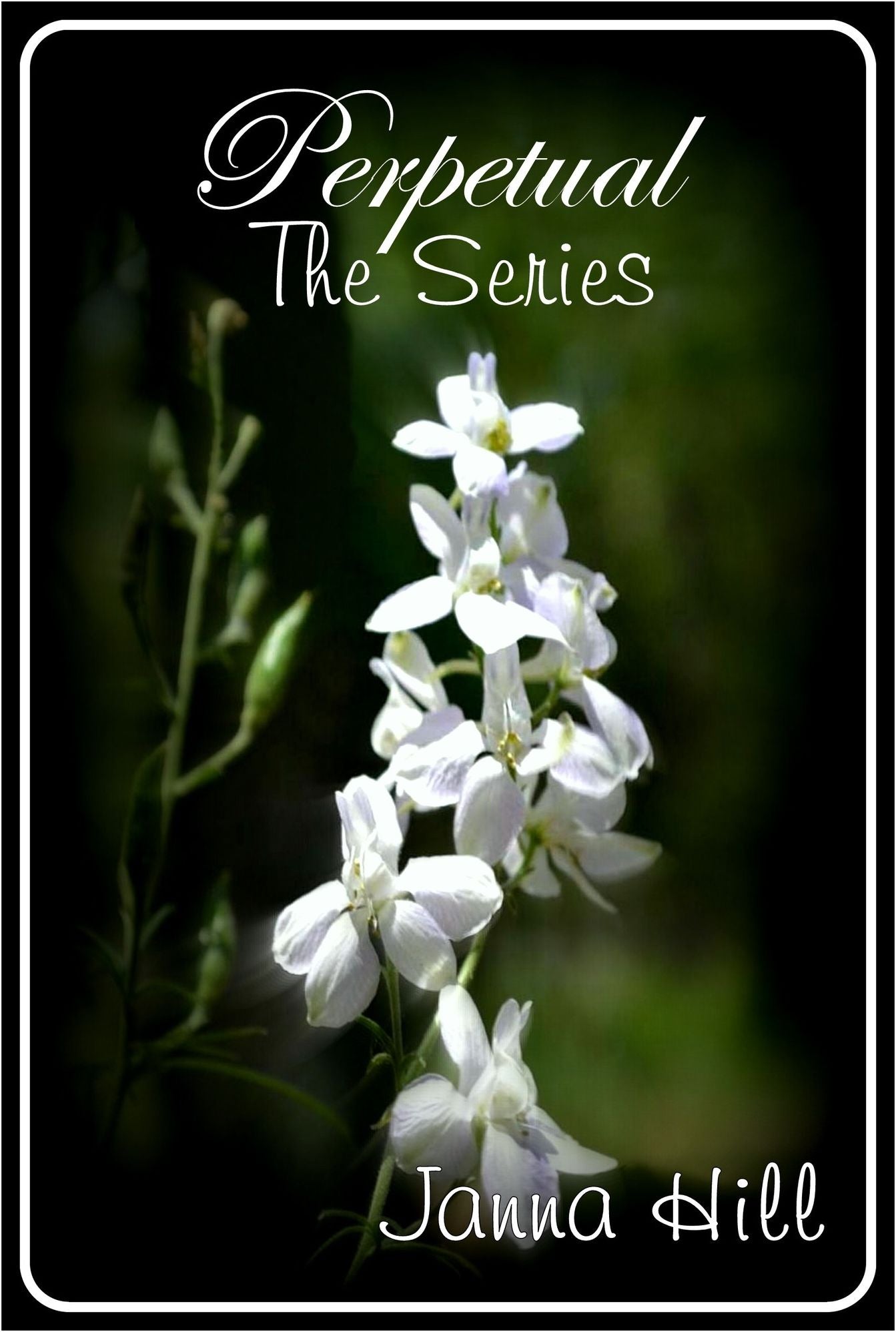 The Perpetual Series (Perpetual Darkness & Perpetual Spring)
