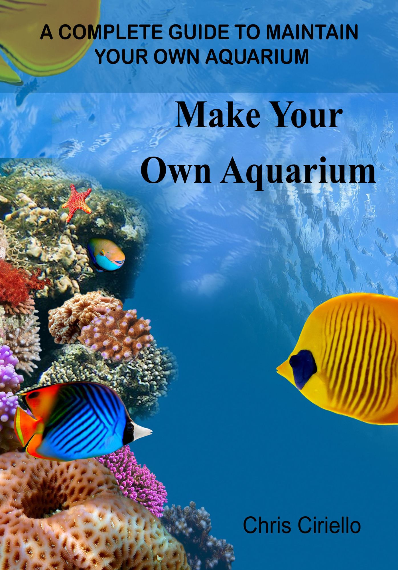 Make your own Aquarium