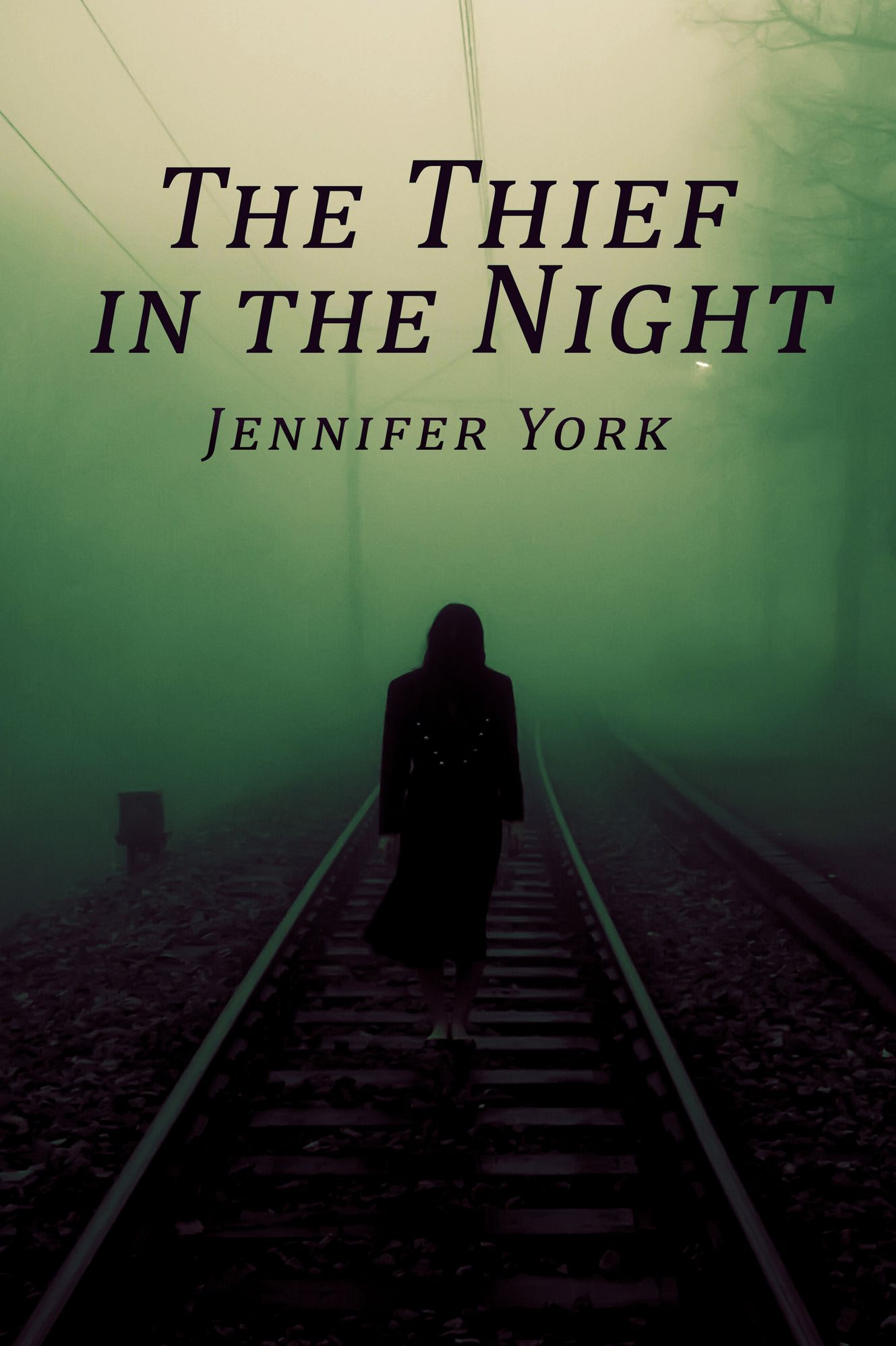 The Thief In The Night