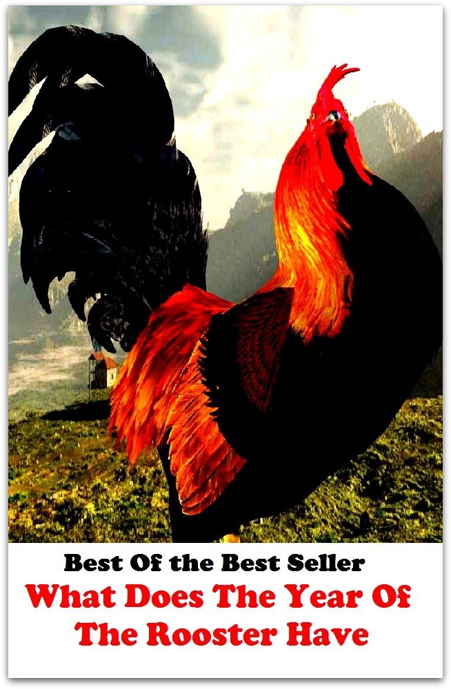 Best of the best sellers What Does The Year Of The Rooster Hav ( online marketing, computer, hardware, blog, frequency, laptop, web, net, mobile, broadband, wifi, internet, bluetooth, wireless, e mail, download, up load, personal area network )