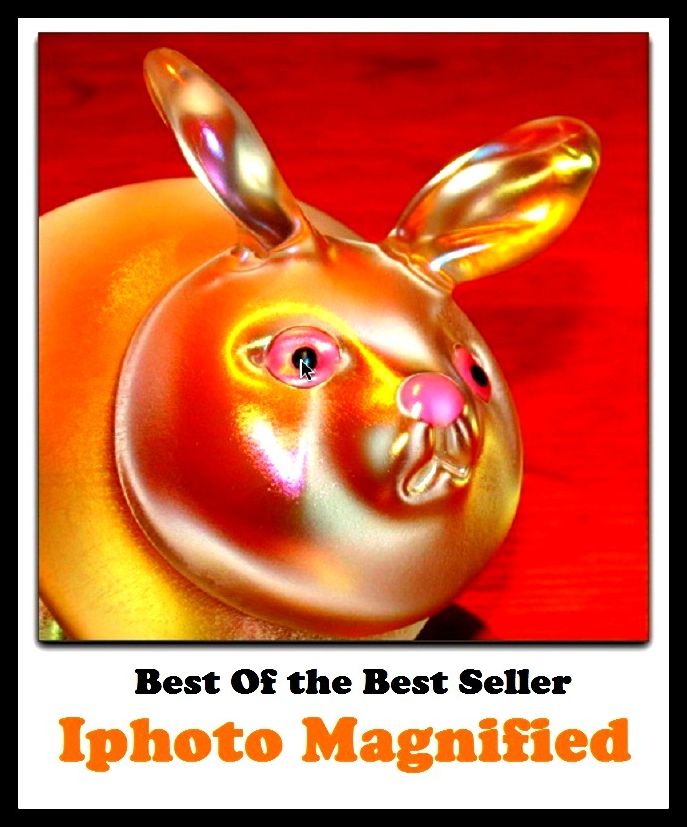 Best of the best sellers Iphoto Magnified ( online marketing, computer, hardware, blog, frequency, laptop, web, net, mobile, broadband, wifi, internet, bluetooth, wireless, e mail, download, up load, personal area network, software, bug )