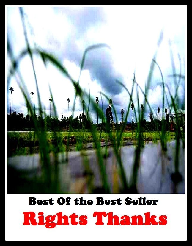 Best of the best sellers Rights Thanks ( online marketing, computer, hardware, blog, frequency, laptop, web, net, mobile, broadband, wifi, internet, bluetooth, wireless, e mail, download, up load, personal area network, software, bug )