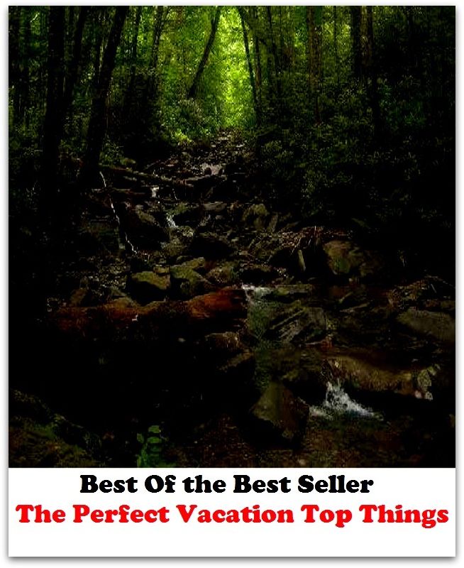 Best of the best sellers The Perfect Vacation Top Things To K ( vacation, holiday, travel, driving, excursion, flying, movement, navigation, ride, sailing, sightseeing, tour, trip, journey, amusement, enjoyment, fun, hobby, pleasure, relaxation )