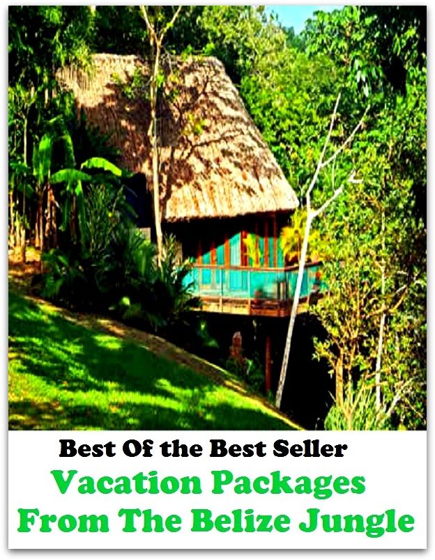 Best of the best sellers Vacation Packages From The Belize Jungle ( vacation, holiday, travel, driving, excursion, flying, movement, navigation, ride, sailing, sightseeing, tour, trip, journey, amusement, enjoyment, fun, hobby, pleasure )
