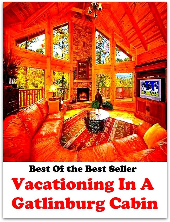 Best of the best sellers Vacationing In A Gatlinburg Cabin ( vacation, holiday, travel, driving, excursion, flying, movement, navigation, ride, sailing, sightseeing, tour, trip, journey, amusement, enjoyment, fun, hobby, pleasure, relaxation )