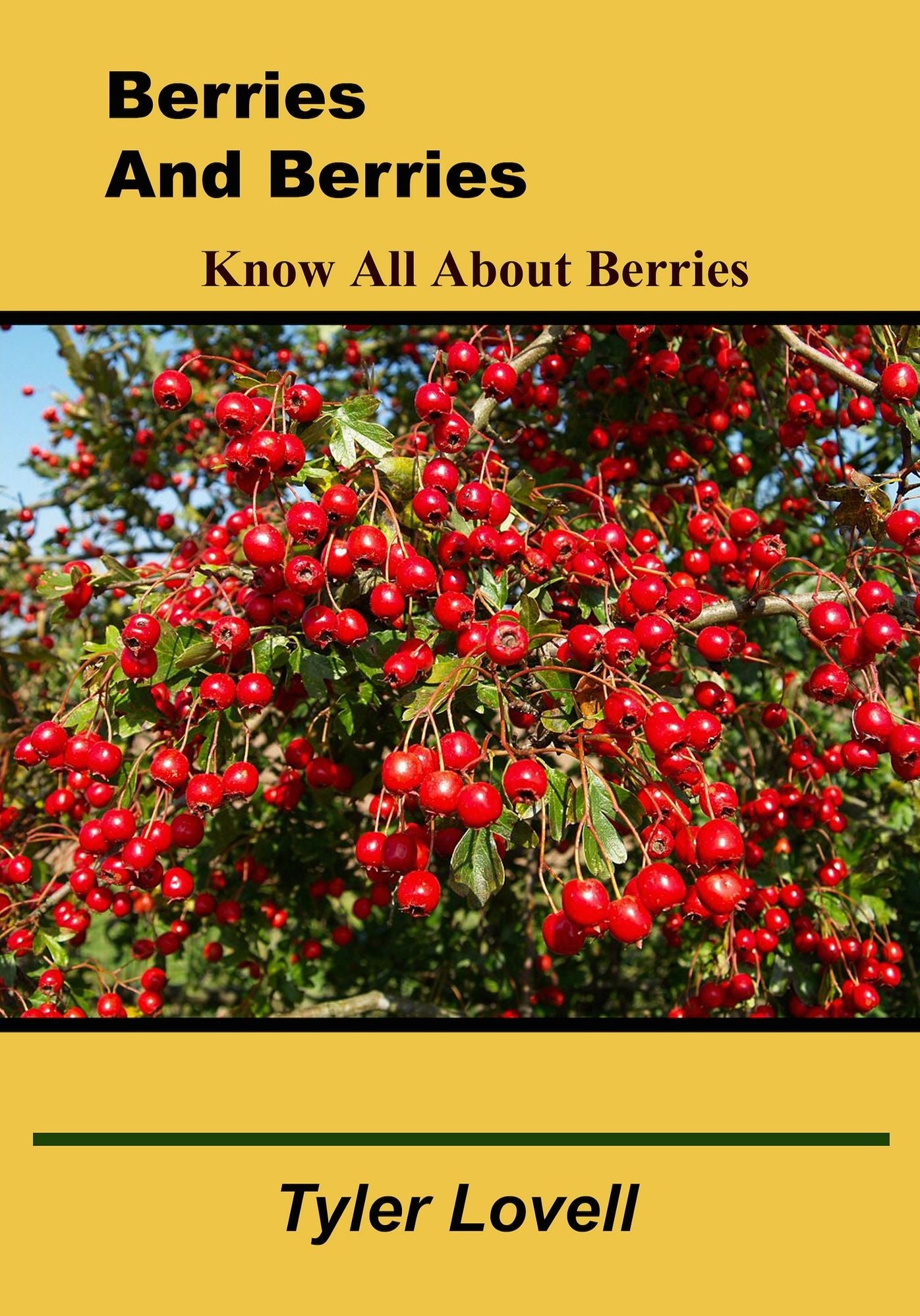 Berries and berries