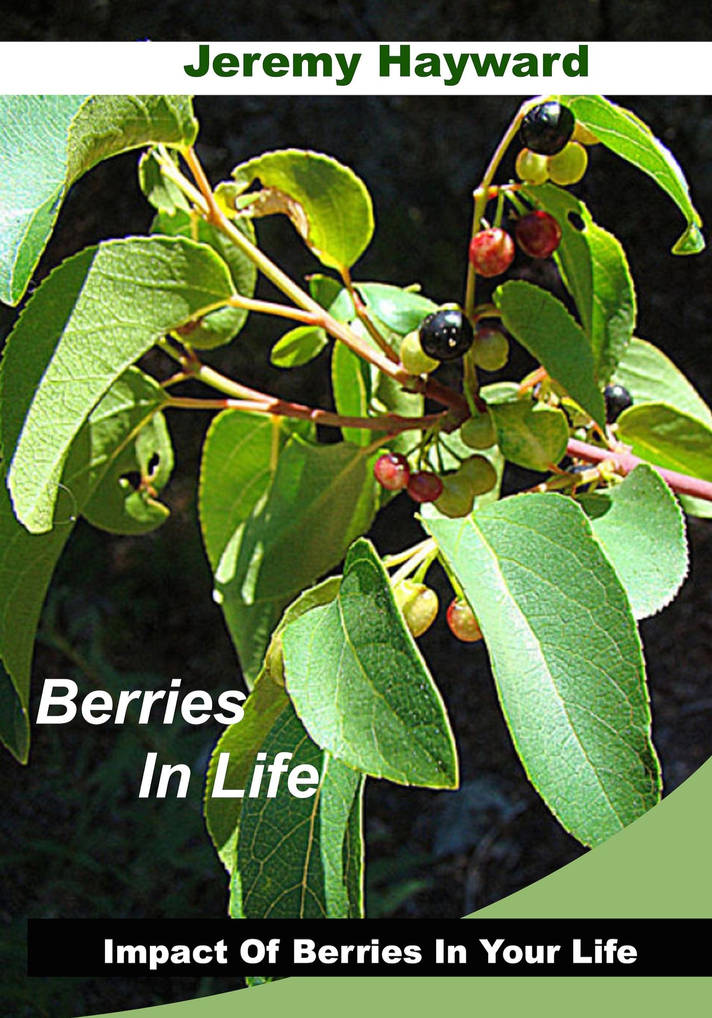 Berries in life