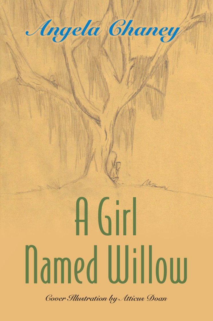 A Girl Named Willow