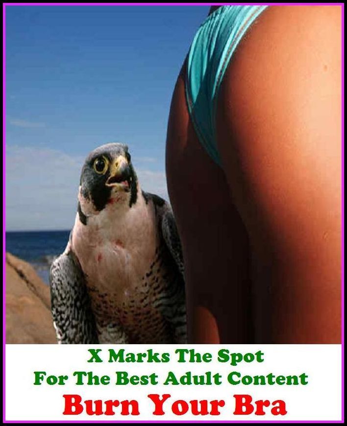 Erotic Photo: X Marks The Spot For The Best Adult Content Burn Your Bra! ( Erotic Photography, Domination, Bare Ass, Lesbian, She-male, Gay, Fetish, Bondage, Sex, Erotic, Erotica, Hentai, Oral, Submisive, Confession, Erotica Photo, Adults On