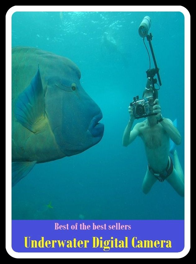 Best of the Best Sellers Underwater Digital Camera ( abacus, analog, brain, calculator, clone, CPU, laptop, mac, mainframe, microcomputer )