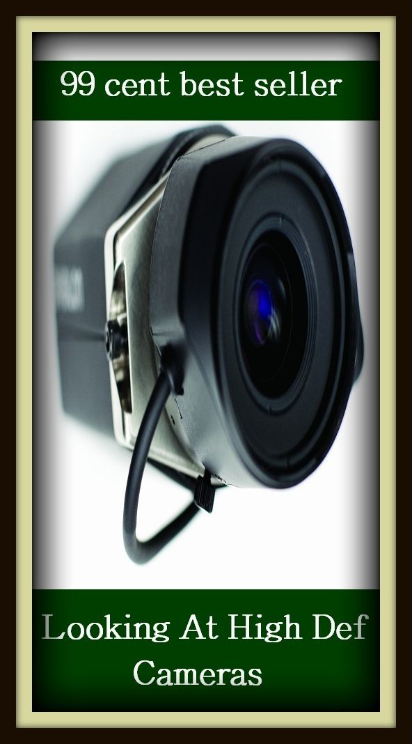 99 cent best seller Looking At High Def Cameras (Camcorder, Polaroid, 35mm, Kodak, video, high definition, camera, cabinet, panel, closet, chamber)