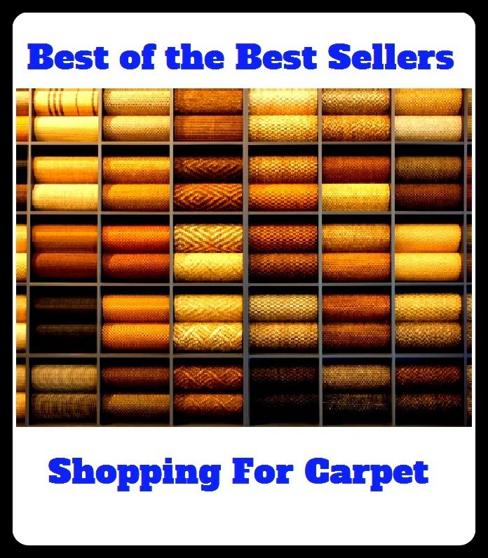 Best of The Best Sellers	Shopping For Carpet (carpeting, rug, tapestry, matting, runner, throw rug, wall-to-wall, mat, floor covering. Shag)