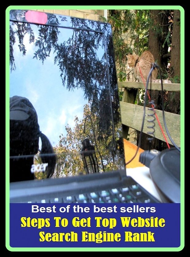Best of the Best Sellers Steps To Get Top Website Search Engine Rank ( get to know, get to ones feet, get to the bottom of, get to the point, get together, get tough with (someone), get under one's skin, get under someones skin, get underway, get up )