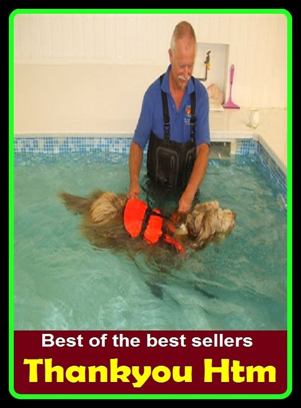 Best of the Best Sellers Thankyou Htm (thanksgiving, thanksgiving cactus, thanksgiving day, thank worthiness, thank worthy, than om kitchenware, than, tho people, Tharp, aphasia)